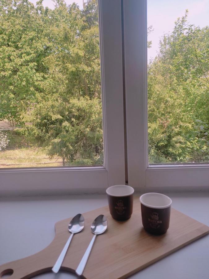 Apartmán Sezane Bains-les-Bains Exteriér fotografie